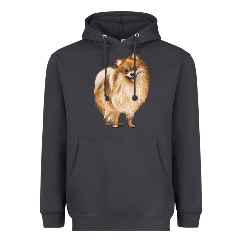 Pomeranian Dog Illustrations Heavyweight Hoodie by LillyAllenDesigns | Teevron