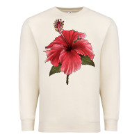 Sandshell Puerto Rican Hibiscus Flower Illustrations Premium Sweatshirt - LillyAllenDesigns