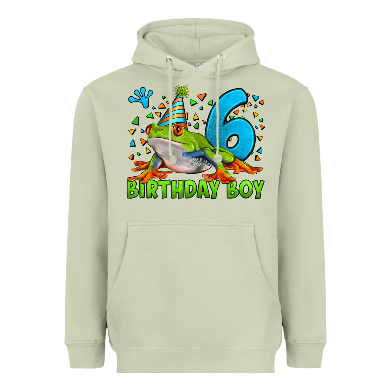 Birthday Boy Frog Age 6 Heavyweight Hoodie by LillyAllenDesigns | Teevron
