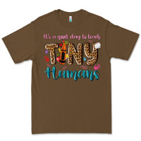 Cacao its a good day to teach tiny humans Premium Tee - NancyCooperArtShop