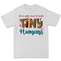 Dove Grey its a good day to teach tiny humans Premium Tee - NancyCooperArtShop