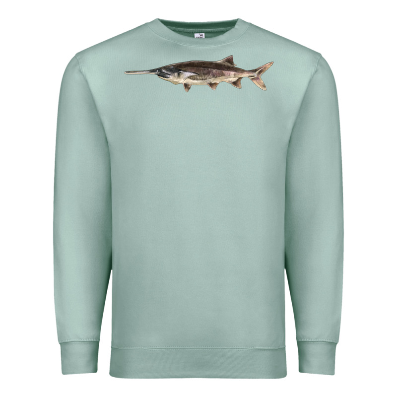 Paddlefish Illustrations, Premium Sweatshirt by LillyAllenDesigns | Teevron
