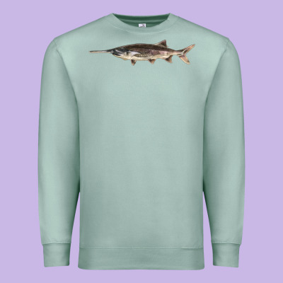 Paddlefish Illustrations, Premium Sweatshirt Designed By Lillyallendesigns