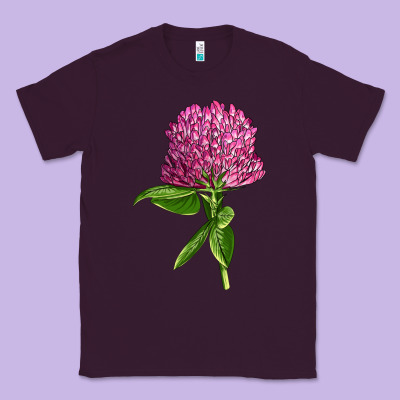 Red Clover Illustrations Classic Tee Designed By Lillyallendesigns