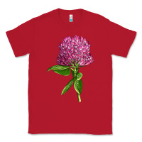 Red Red Clover Illustrations Classic Tee - LillyAllenDesigns