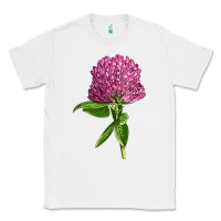 White Red Clover Illustrations Classic Tee - LillyAllenDesigns