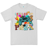 Dove Grey leveled up pre k Premium Tee - NancyCooperArtShop