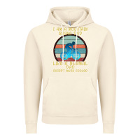 Vintage Artic I Am A Mountain Biking Dad Vintage Hoodie - Bettercallsaul