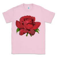 Bubblegum Pink Oklahoma Rose Illustrations Classic Tee - LillyAllenDesigns