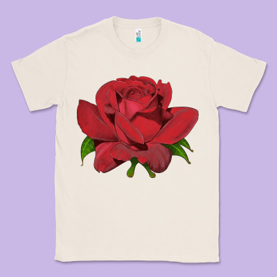 Oklahoma Rose Illustrations Classic Tee Designed By Lillyallendesigns