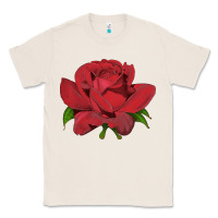 Natural Oklahoma Rose Illustrations Classic Tee - LillyAllenDesigns