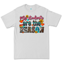 Dove Grey my students are the reason Premium Tee - NancyCooperArtShop