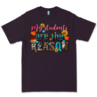 Plum my students are the reason Premium Tee - NancyCooperArtShop