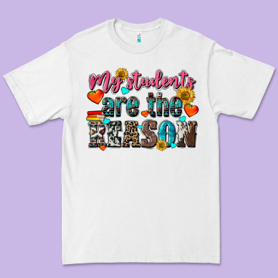 My Students Are The Reason Premium Tee Designed By Nancycooperartshop