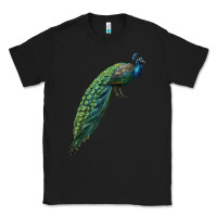 Black Peacock Classic Tee - LillyAllenDesigns