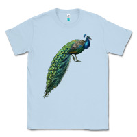Dusty Blue Peacock Classic Tee - LillyAllenDesigns