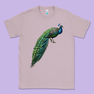 Peacock Classic Tee Designed By Lillyallendesigns
