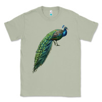 Matcha Peacock Classic Tee - LillyAllenDesigns