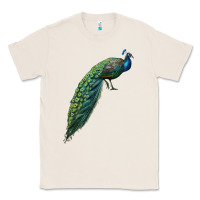 Natural Peacock Classic Tee - LillyAllenDesigns