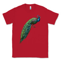 Red Peacock Classic Tee - LillyAllenDesigns