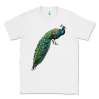 White Peacock Classic Tee - LillyAllenDesigns