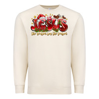 Jesus The Reason For The Season Premium Sweatshirt | Teevron