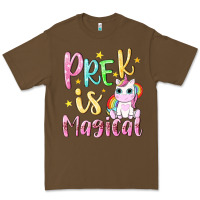 Cacao pre k is magical Premium Tee - NancyCooperArtShop