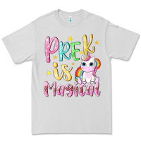 Dove Grey pre k is magical Premium Tee - NancyCooperArtShop