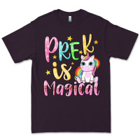 Plum pre k is magical Premium Tee - NancyCooperArtShop