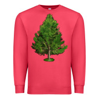 Cardinal White Pine Tree Illustrations Premium Sweatshirt - LillyAllenDesigns