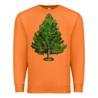 Carrot White Pine Tree Illustrations Premium Sweatshirt - LillyAllenDesigns