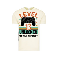 Vintage Arctic Level 13 Unlocked Official Teenager 13th Birthday Vintage Tee - Bettercallsaul