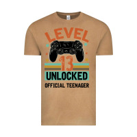 Vintage Camel Level 13 Unlocked Official Teenager 13th Birthday Vintage Tee - Bettercallsaul