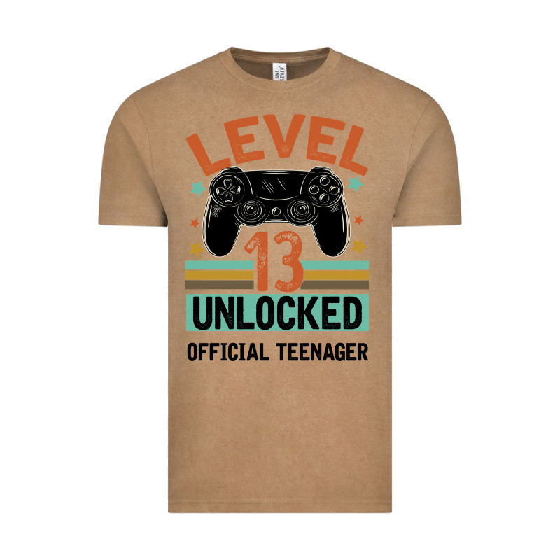 Level 13 Unlocked Official Teenager 13th Birthday Vintage Tee by Bettercallsaul | Teevron