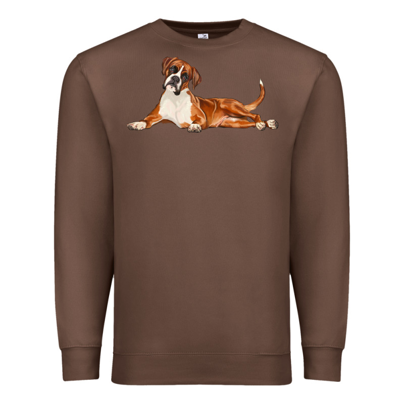 Boxer Dog Illustrations Premium Sweatshirt by LillyAllenDesigns | Teevron