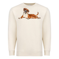 Sandshell Boxer Dog Illustrations Premium Sweatshirt - LillyAllenDesigns
