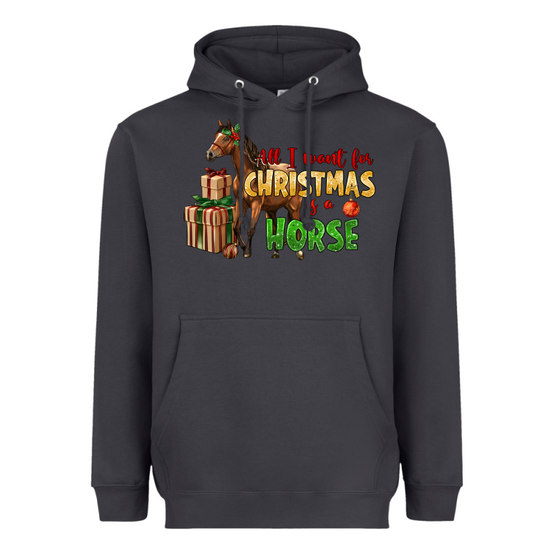 All I Want For Christmas Is A Horse Heavyweight Hoodie by LillyAllenDesigns | Teevron