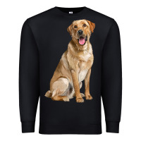 Black Labrador Retriever llustrations Premium Sweatshirt - LillyAllenDesigns