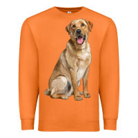 Carrot Labrador Retriever llustrations Premium Sweatshirt - LillyAllenDesigns