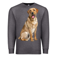 Charcoal Heather Labrador Retriever llustrations Premium Sweatshirt - LillyAllenDesigns