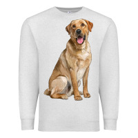 Oatmeal Heather Labrador Retriever llustrations Premium Sweatshirt - LillyAllenDesigns