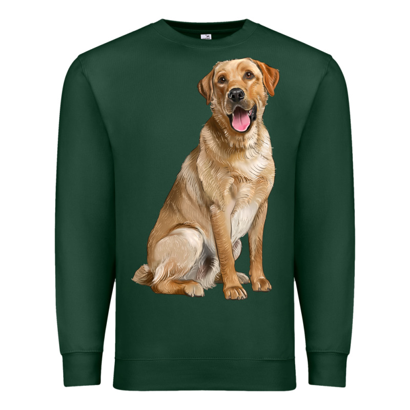 Labrador Retriever Llustrations Premium Sweatshirt by LillyAllenDesigns | Teevron