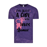 Cloud Purple Just A Girl Who Loves Llamas I Love Llamas Vintage Tee - Bettercallsaul