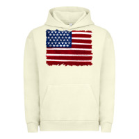 Pigment Pistachio american flag Urban Hoodie - Artiststas