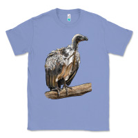Colony Blue Vulture Bird Classic Tee - LillyAllenDesigns