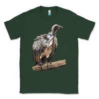 Sports Green Vulture Bird Classic Tee - LillyAllenDesigns