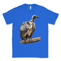 True Royal Vulture Bird Classic Tee - LillyAllenDesigns
