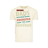 Vintage Arctic Only Great Dads Get Promoted To Grandad Vintage Tee - Bettercallsaul