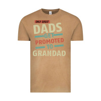 Vintage Camel Only Great Dads Get Promoted To Grandad Vintage Tee - Bettercallsaul