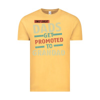 Only Great Dads Get Promoted To Grandad Vintage Tee | Teevron